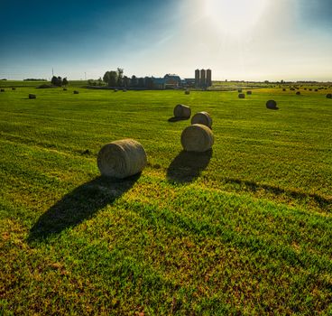 A picturesque farm field in Minnesota with round hay bales under a bright blue sky.
